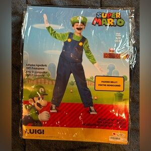 Luigi Costume